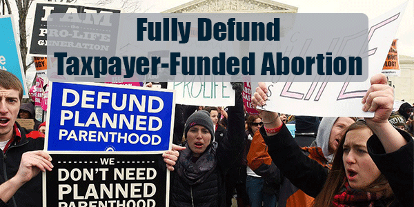 Petition to FULLY Defund Taxpayer-Funded Abortion