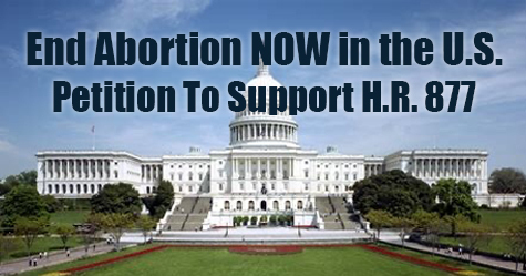 Petition to End Abortion NOW in the U.S.
